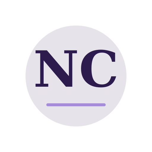 Neda Chimney Services logo